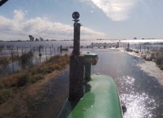 Inundaciones: 5,8 millones de hectáreas afectadas y riesgo económico de US$2000 millones