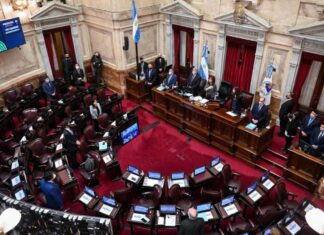 Tensión en el Congreso: la oposición busca ponerle un límite a los DNU de Milei