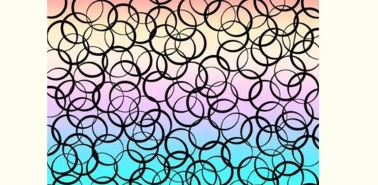 El desafío visual que solo los más atentos logran superar