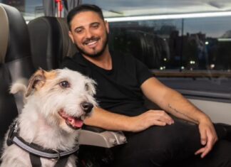 Viajar con mascotas: el Gobierno habilitó su traslado en trenes y micros de larga distancia