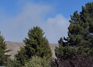 Chacayal: el fuego ya arrasó 20 hectáreas y amenaza una vivienda