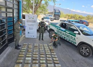 Catamarca: hallan más de 65 kilos de marihuana en las mochilas de tres pasajeras