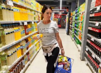 La inflación de noviembre fue de 2,5% y acumuló 27,9% en el año