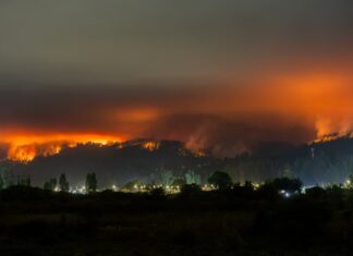 Argentina ofrece ayuda a Chile por los incendios forestales