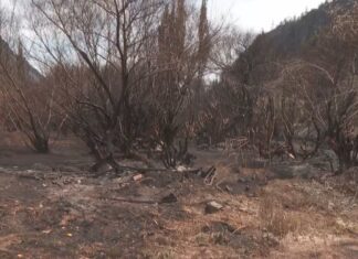 Incendios en Chubut: el responsable podría ir hasta 20 años preso