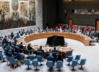 La postura de Argentina ante la ONU por la situación en Venezuela