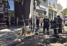 Un colectivero se desmayó por el calor y chocó contra varios autos