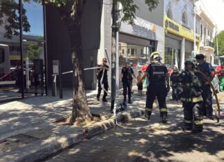 Un colectivero se desmayó por el calor y chocó contra varios autos