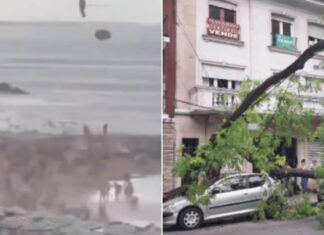 Fuerte temporal en Mar del Plata: destrozos, evacuaciones y un herido