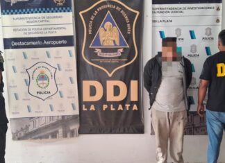 Muerte de Eugenia Carril: quedó detenido el hombre que la atropelló y la abandonó