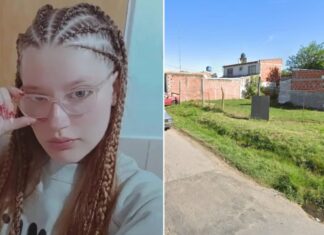 Encontraron muerta a una estudiante: investigan un posible choque y fuga