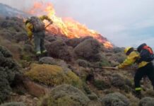 Incendios forestales: Santa Cruz fue incorporada a la emergencia nacional