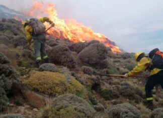 Incendios forestales: Santa Cruz fue incorporada a la emergencia nacional