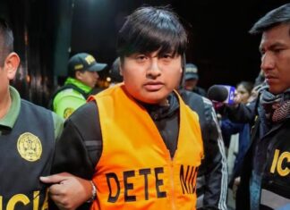 Cuánto podría demorar el traslado de «Pequeño J» a la Argentina
