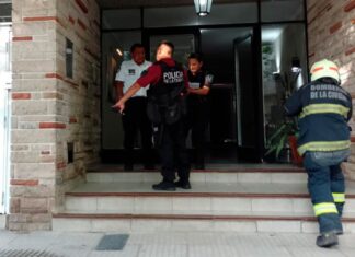 Investigan la muerte de dos nenes y la mujer que los cuidaba