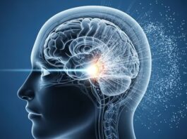 Meta presentó un modelo de IA que predice la actividad cerebral humana