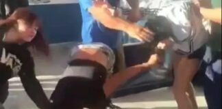 Video viral: violenta pelea entre alumnas en Plottier genera preocupación