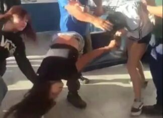 Video viral: violenta pelea entre alumnas en Plottier genera preocupación