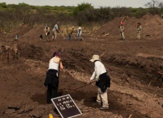 La Justicia confirmó la identificación de 12 víctimas del terrorismo de Estado