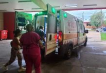 Conmoción en Posadas: siete perros atacaron a un nene