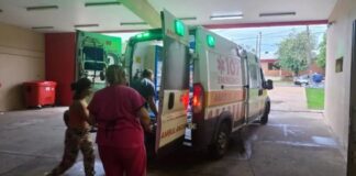 Conmoción en Posadas: siete perros atacaron a un nene