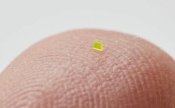 Un bolso microscópico se vendió por $63.750 dólares