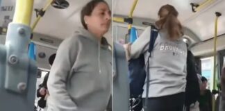 Agresión en un colectivo: una mujer atacó al conductor en medio de reclamos