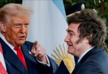 El Gobierno repudió el tiroteo en Washington y celebró que Trump resultara ileso