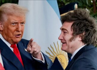 El Gobierno repudió el tiroteo en Washington y celebró que Trump resultara ileso
