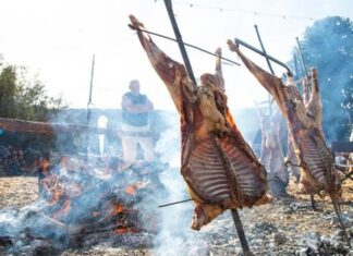 Veinte ediciones y una identidad: vuelve la Fiesta Nacional del Chef Patagónico