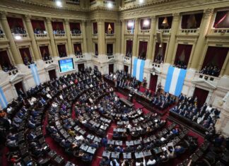 Milei enviará un proyecto al Congreso para habilitar el pago de un fallo por el default