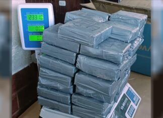Salta: una familia fue detenida con más de 23 kilos de cocaína ocultos en un auto