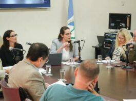 Buscan crear una agencia para definir qué tecnologías incorporar en el sistema de salud