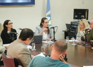 Buscan crear una agencia para definir qué tecnologías incorporar en el sistema de salud