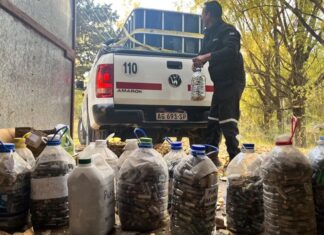 Más de 2.500 kilos de pilas recolectadas: el alcance de una política ambiental sostenida