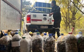 Más de 2.500 kilos de pilas recolectadas: el alcance de una política ambiental sostenida