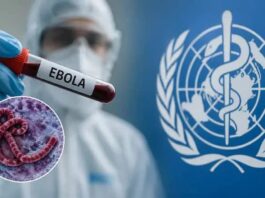 Refuerzan controles sanitarios tras detectar barcos provenientes de zonas con ébola