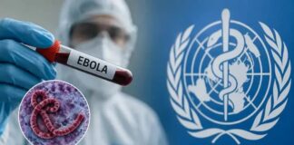 Refuerzan controles sanitarios tras detectar barcos provenientes de zonas con ébola