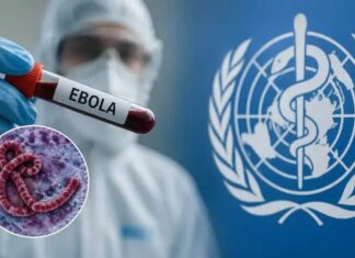 Refuerzan controles sanitarios tras detectar barcos provenientes de zonas con ébola