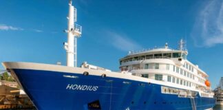 Alarma en un crucero: investigan brote de hantavirus tras tres muertes en altamar