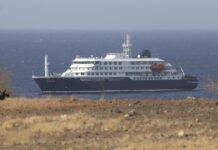 Realizan operativos en Ushuaia para investigar posible circulación de hantavirus