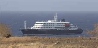 Realizan operativos en Ushuaia para investigar posible circulación de hantavirus