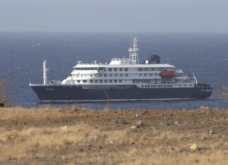 Realizan operativos en Ushuaia para investigar posible circulación de hantavirus