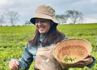 El té que nació en la Patagonia y conquistó al jurado más exigente del país