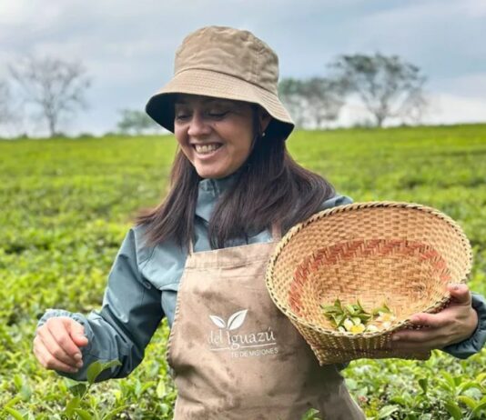 El té que nació en la Patagonia y conquistó al jurado más exigente del país