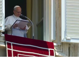 El Vaticano destinó ayuda económica para las víctimas del desastre en Venezuela