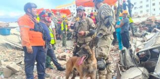 La historia de Bart, el perro argentino que se convirtió en héroe en Venezuela