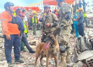 La historia de Bart, el perro argentino que se convirtió en héroe en Venezuela