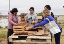 Organizan una jornada sobre cambio climático: es gratuita y tiene certificado