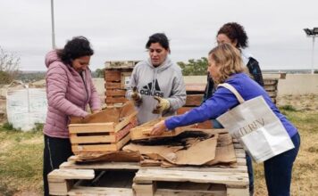 Organizan una jornada sobre cambio climático: es gratuita y tiene certificado